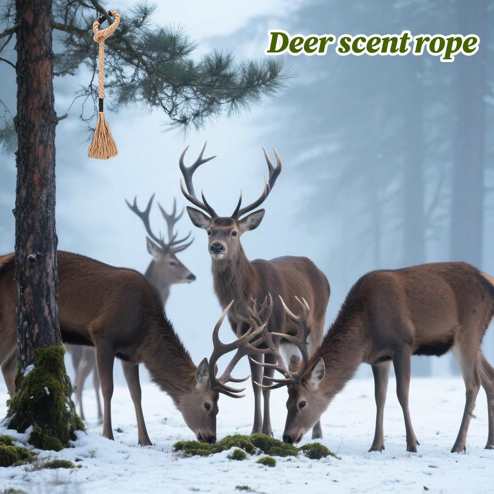 Deer Attractant Scent - حبل رائحة الغزلان يدوم طويلاً وجذاب