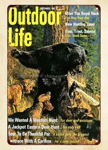 Hunting Dog Outdoor - ديكور جدار المكتب 1967، لافتة معدنية