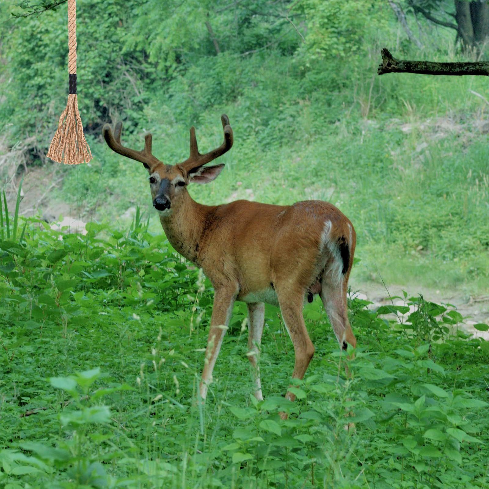 حبل رائحة الغزلان يدوم طويلاً  - مراجعة Deer Attractant Scent وسعره