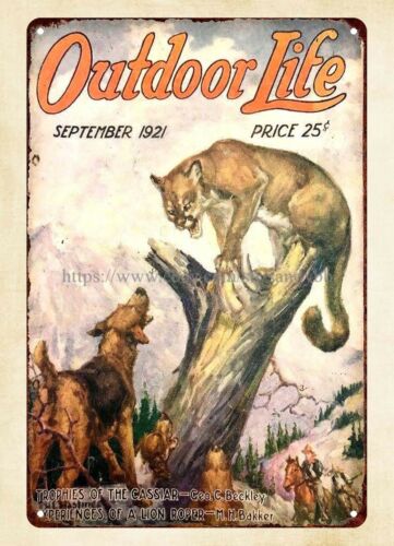 اشترِ لوحة معدنية بتصميم غلاف  - مراجعة Hunting Dog Outdoor وسعره